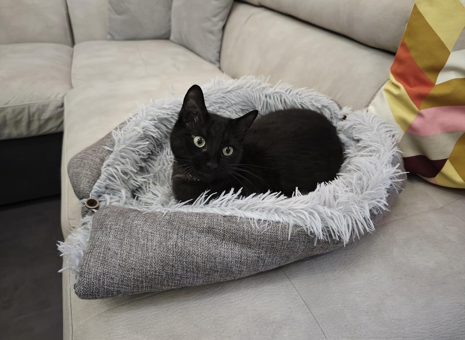 Cuccia Lonanza 2-in-1 con gatto nero